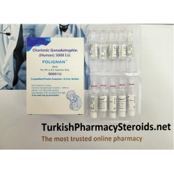 Folignan HCG 5000IUx5 Amps